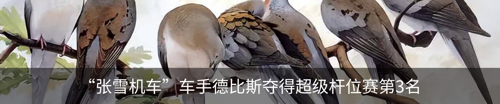 行业资讯