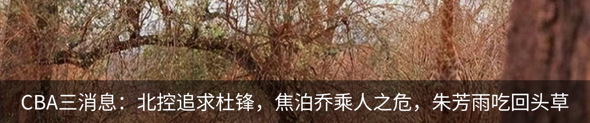 行业资讯